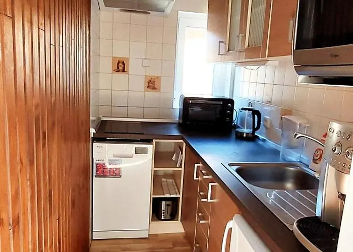 Na Liscim Kopci V Krkonosich *